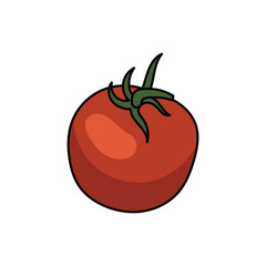 tomato illustration