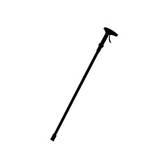 Silhouette of walking stick on transparent background