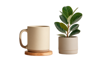 Light beige ceramic mug with wooden coaster and small plant in matching pot