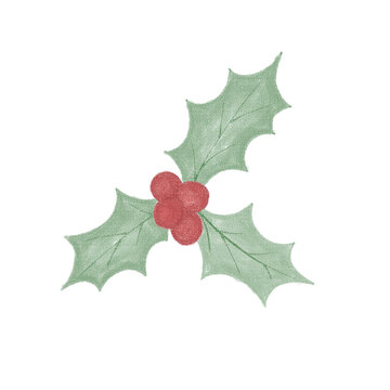 Holly