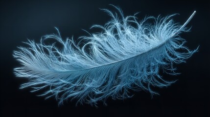 close up of soft blue feather isolated on black