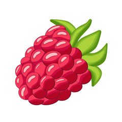 Raspberry isolated on white background. Raspberry. Wild berry.