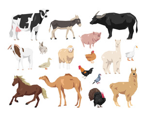 Vector set of farm animal. Cow, donkey, buffalo, pig, goat, rabbit, sheep, duck, chicken, goose, pigeon, horse, camel, turkey, alpaca, and llama. Flat geometric illustration.