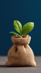 money growth concept with fund, green, symbol