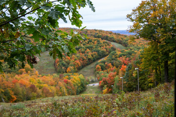 A vast, rolling landscape of a forest filled with vibrant autumn colours under a cloudy sky in Gatineau Park, Quebec