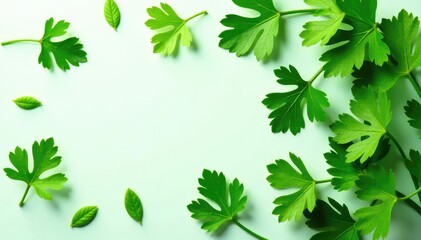 Fresh parsley leaves arranged in decorative pattern , pattern, green