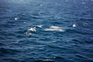 Fototapeta premium Blue sea water surface with waves and foam. Natural background. 