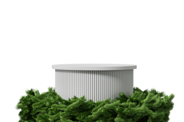 Cylindrical gray podium featuring vertical grooves, surrounded by green pine branches, placed on a transparent background. Concept of festive display. 3D Rendering