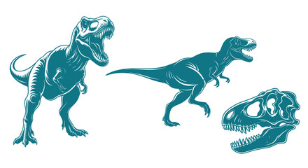 Tyrannosaurus Rex Dinosaurs and Skull Illustration.
