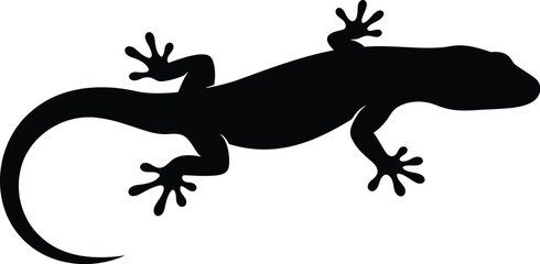 Silhouette of a small lizard clinging to a flat surface in the dark	