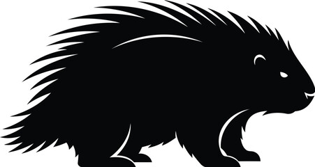 Obraz premium Illustration of a Wild Porcupine Silhouette Standing on a White Background 
