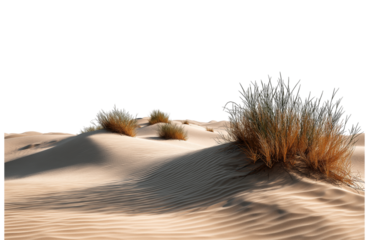 Desert sand dunes with sparse dry grass, isolated on transparent background