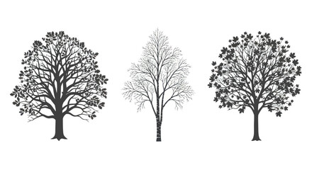 Fototapeta premium Three Tree Silhouettes in Black and White.