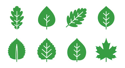 Collection of various green leaves from different tree species.