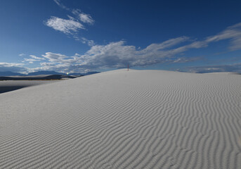 白い砂に刻まれた風紋
