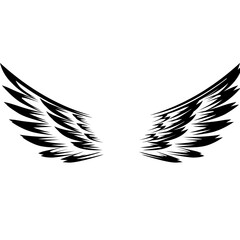 wings vector illustration