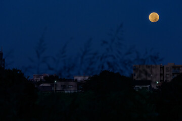明け方の満月