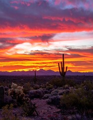 Dramatic sunset over a desert landscape