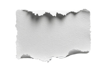 A ripped, blank piece of white paper