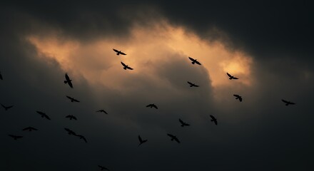 Fototapeta premium Birds soaring through dark clouds