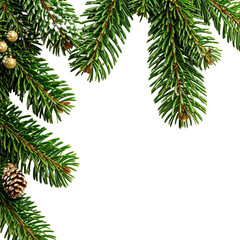 Obraz premium Christmas evergreen corner