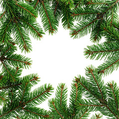Christmas Fir Branches Frame