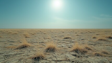 Vast, arid landscape under bright sun