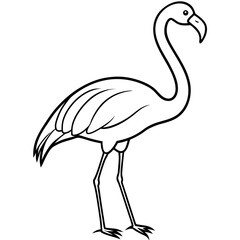 Elegant Flamingo Line Art Vector