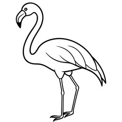 Elegant Flamingo Line Art Vector