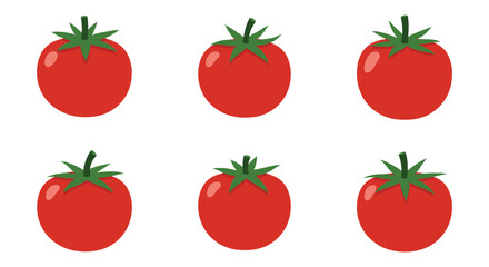 six ripe tomatoes arranged neatly in two rows
