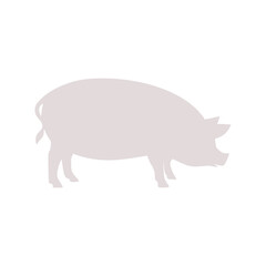 Pig icon isolated on transparent background