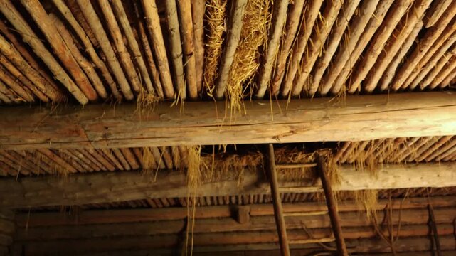 Old dried silage hay and wheat poking through an old barn or a shed ceiling, camera moves lower revealing a ladder leading up to the old farmhouse attic where hay is hanging.