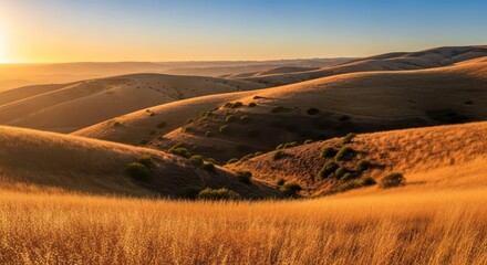 Golden Hour Illumination on Rolling Hills and Grasslands