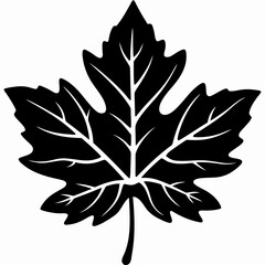 Fototapeta premium Elegant Maple Leaf Silhouette Vector Design