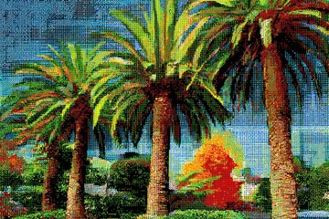 Colorful palm trees in a landscape
