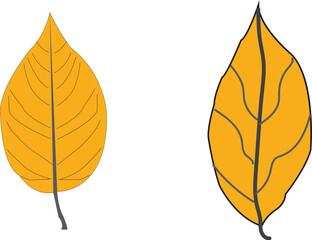 Elegant Autumn Leaf Vector Collection