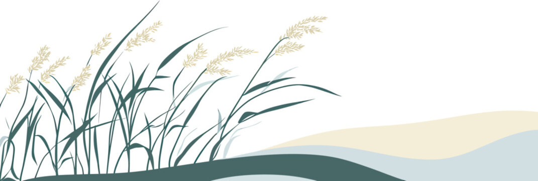 Minimalist flat vector illustration of sea oats and beach grass with stylized wave shapes and gentle sand dunes on white background for coastal environment concept design