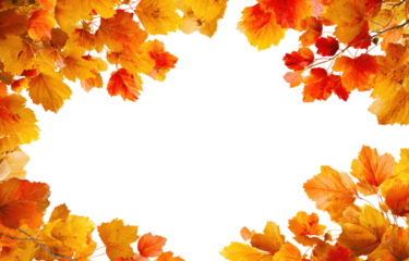 Autumn leaves frame a dark center.  Vibrant orange and red leaves form a circular border around a solid black background