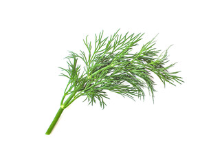 Fresh green dill isolated on white