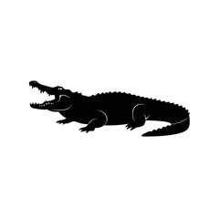 crocodile on white