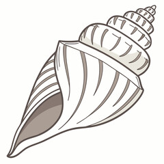 Stylized illustration of a detailed spiral seashell with ribbed texture and a pointed end on a white background