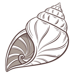 Stylized illustration of a spiral seashell with intricate lines and a neutral color palette on a white background