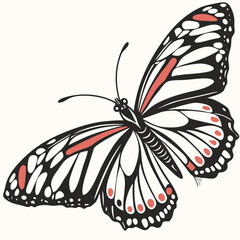 Elegant black and white butterfly with striking coral red accents on a plain background