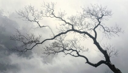 Obraz premium A tranquil, misty landscape showcasing a majestic tree's bare branches reaching against a soft, gray sky.
