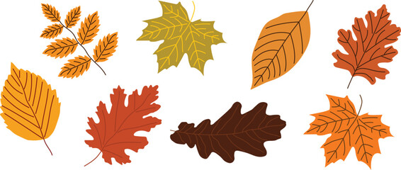Obraz premium Colorful Assortment of Autumn Leaves