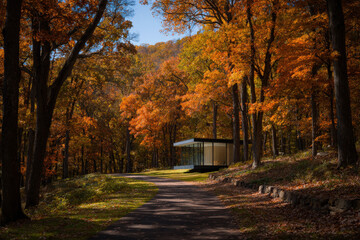 Naklejka premium modern capsule house nestled within serene autumn forest surrounded by stunning foliage
