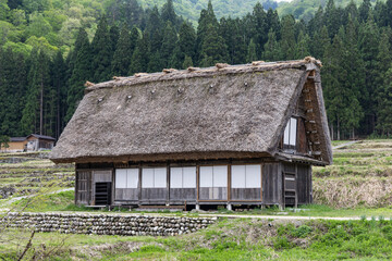 Typical traditional thick gassho zukuri style roof in Shirakawago in Central Japan during springtime.