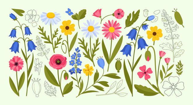 Vibrant collection of stylized meadow flowers, featuring colorful flat designs and delicate botanical line art.