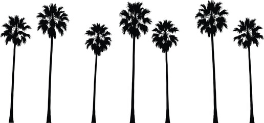Collection of tall palm tree silhouettes isolated on white background, tropical summer beach paradise design, nature vacation illustration for travel themes © Kartik Creative