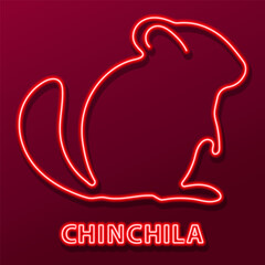 chinchila neon sign, modern glowing banner design, colorful modern design trends on black background. Vector illustration.